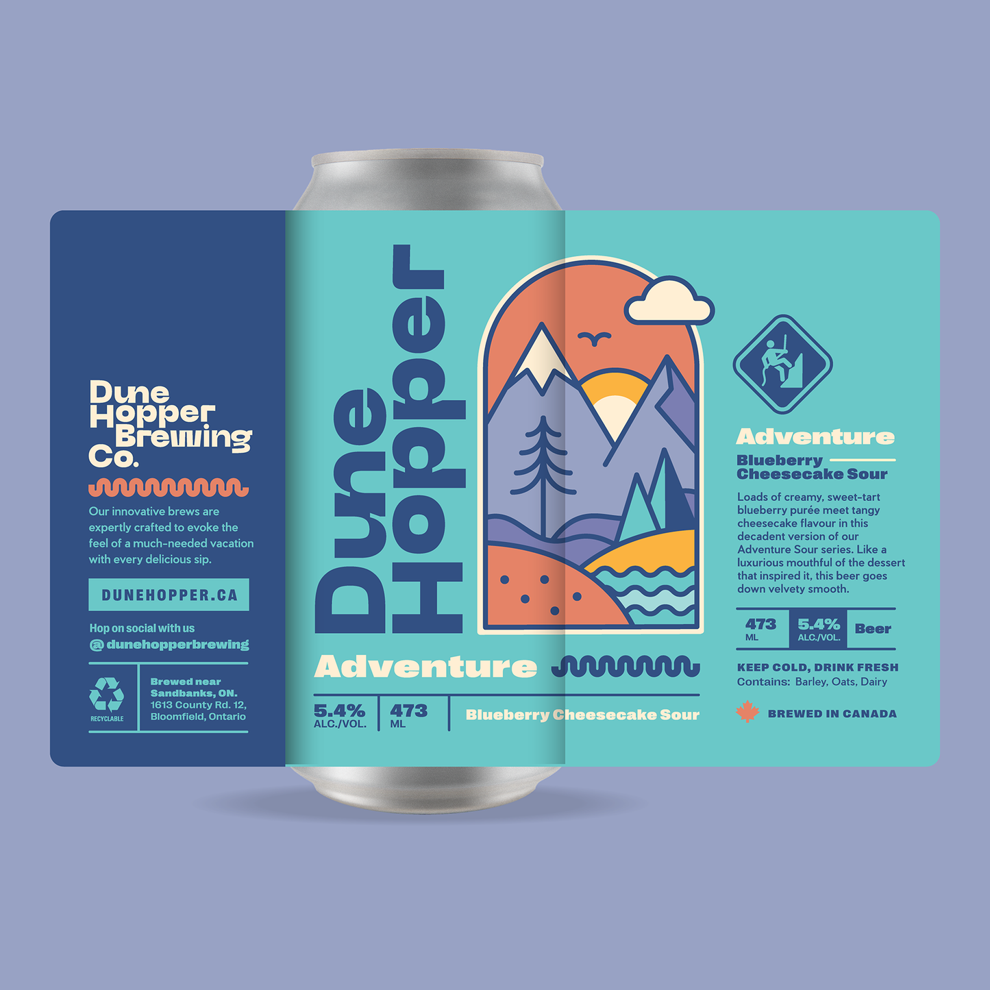 Adventure - Blueberry Cheesecake Sour